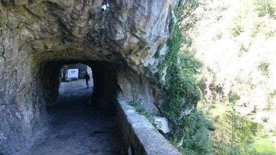 Fundacion Cabrales Cueva Exposicion Queso Cabrales