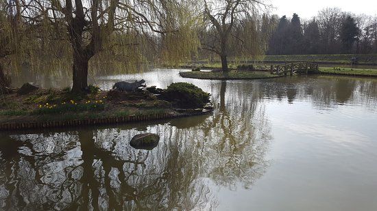 Hawkhurst Fish Farm
