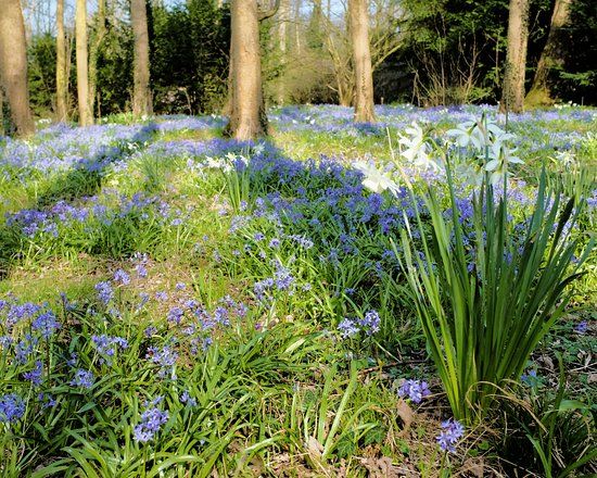 Evenley Wood Garden