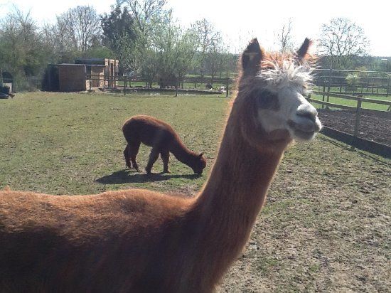 Paradise Found Educational Farm Park