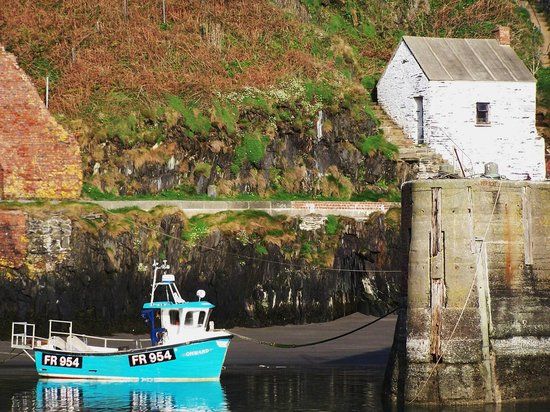 Porthgain Harbour