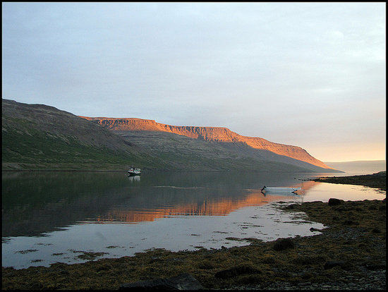 Saga of Gisli Sursson in Arnarfjord