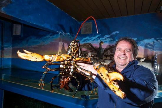 Stiftelsen Risor Akvarium