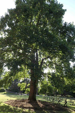 Abbaye Bénédictine