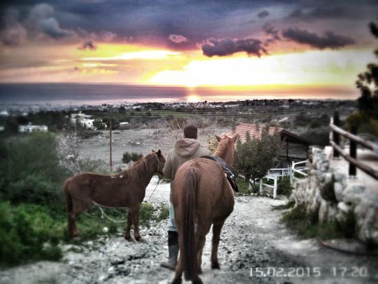 Horse Riding Paphos