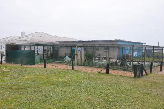 Sanccob Eastern Cape