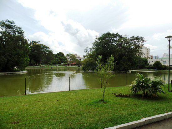 Parque dos Pinheiros