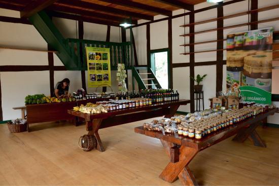 Community Path Museum