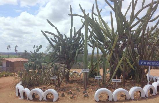 Museu Rural Auta Pinheiro Bezerra