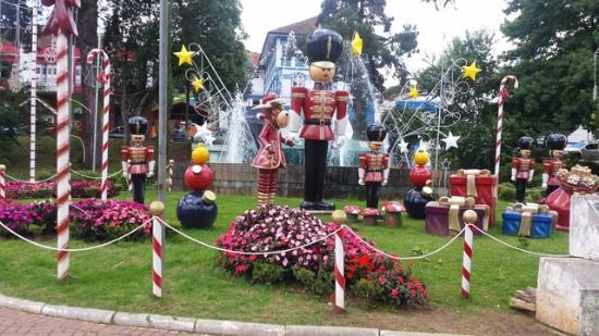 Praca Julio Domingues Pereira