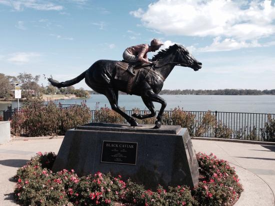 Black Caviar Statue