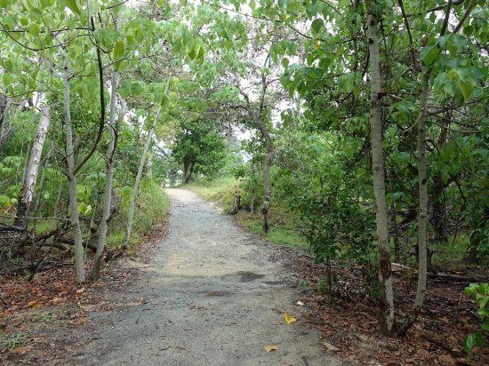 Federation Walk Coastal Reserve