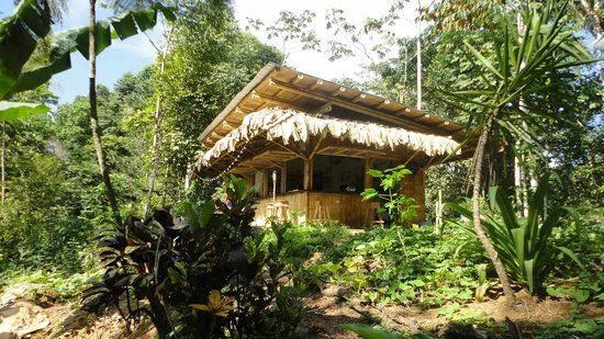 Finca Tierra Permaculture