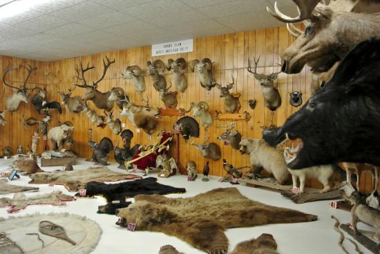 Jeff Matthews Museum