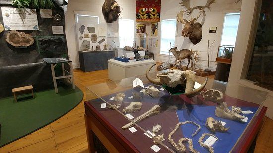 The Nature Museum at Grafton