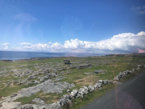 Beauty Of The Burren Walks
