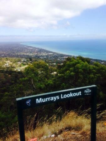 Arthurs Seat State Park