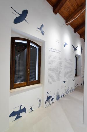 MuMA Museo del Mare e dei Maestri D'Ascia