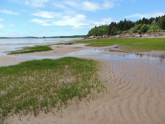 Mary's Point Bird Sanctuary