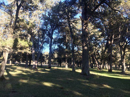 Sabinar de Calatañazor