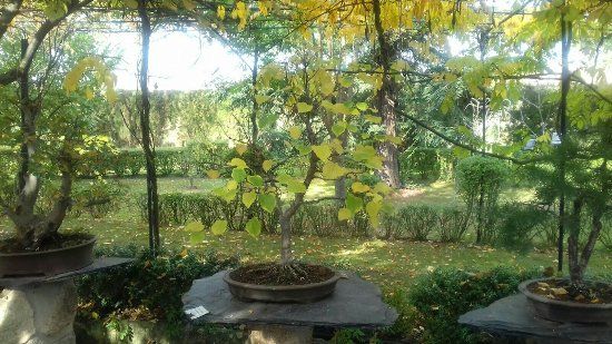 Jardin Botanico De La Rioja