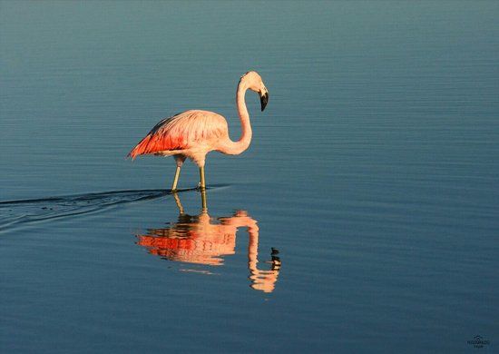 Museo Fotografico Miramar