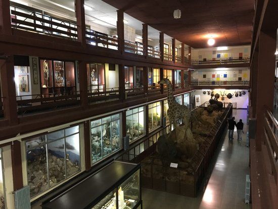 Museo de Ciencias Naturales El Carmen