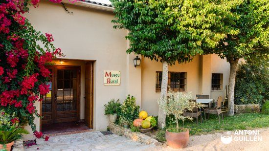 Museu Vehicles Classics