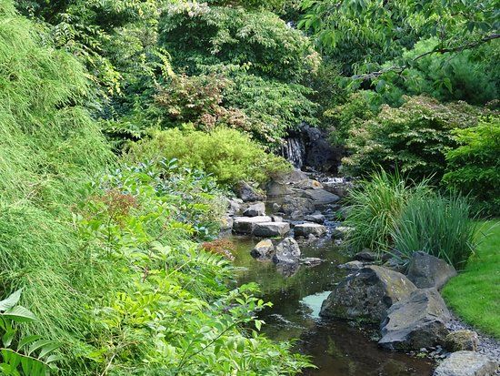 Hortus Overzee Den Helder
