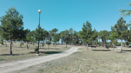 Parque de la Pulgosa