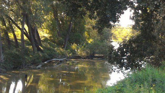 Riserva naturale orientata Parma Morta