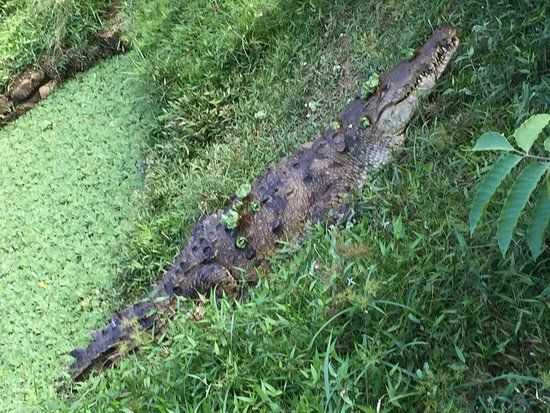 Parque Ecologico Ciudad Reptilia