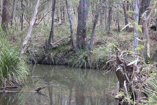 Venman Bushland National Park