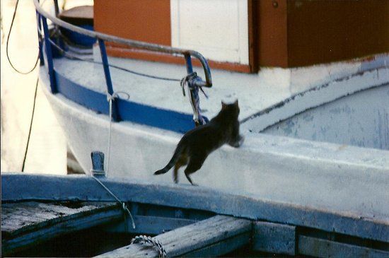 Villaggio del Pescatore