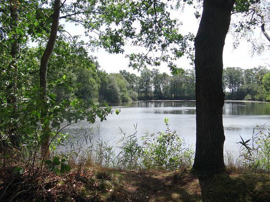 Natuurpark de Leemputten