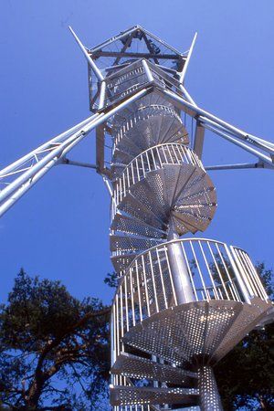 Natuurgebied De Zandbergen