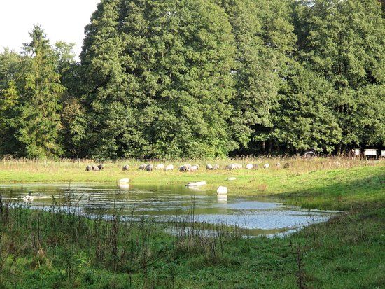 Drakamöllan Naturreservat