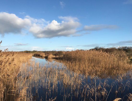 Nationaal Park Schiermonnikoog