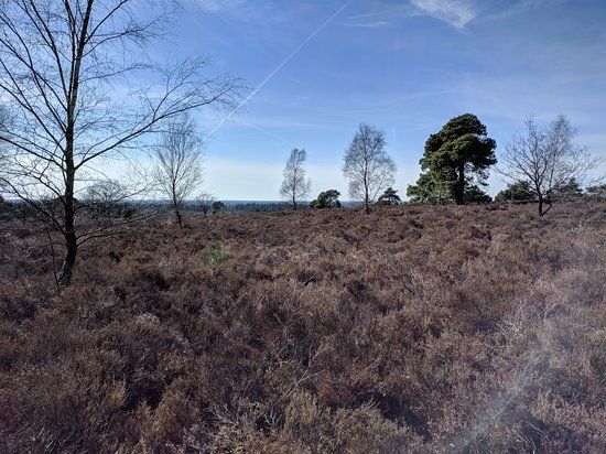 Nationaal Park De Sallandse Heuvelrug