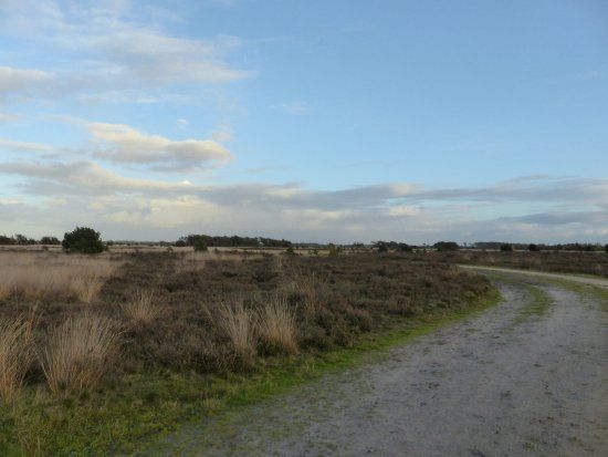 Strabrechtse Heide