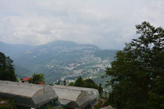 Shanti View Point