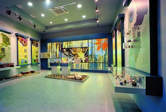 Natural History Museum of Alexandroupoli