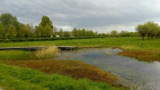 Provinciaal domein Bergelen