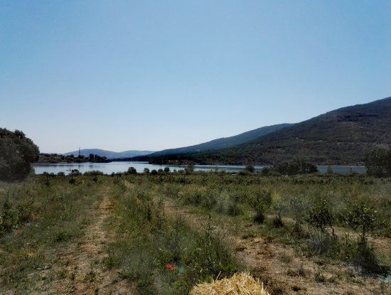 El Puente del Molino