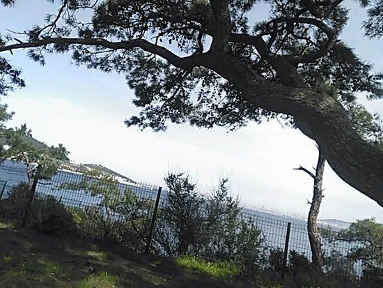 Dilburnu Tabiat Parki