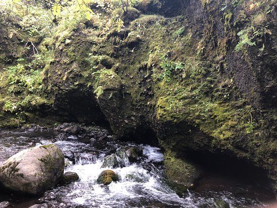 Nauthusagil Waterfall