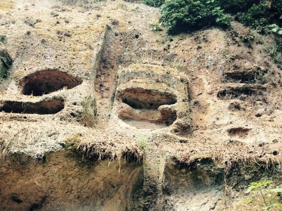 Parco degli Etruschi