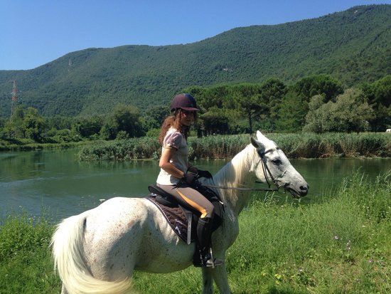 Maneggio Jolly Horse