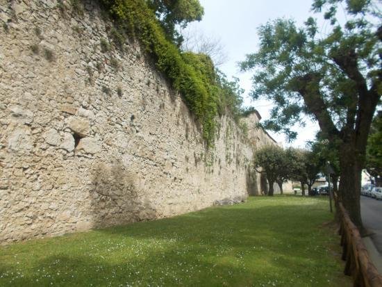 Cinta muraria di Amelia