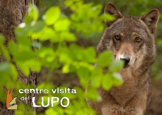 Centro Visita del Lupo